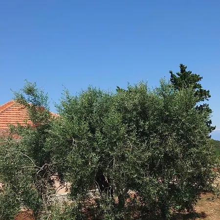 A Secluded House 度假居